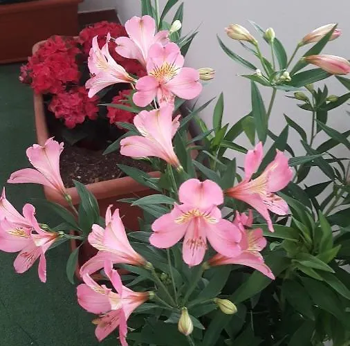 Su Nuraghe Oda ve Kahvaltı