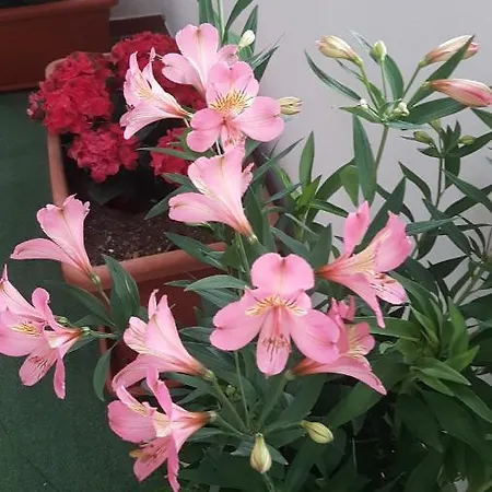 Su Nuraghe Bed & Breakfast